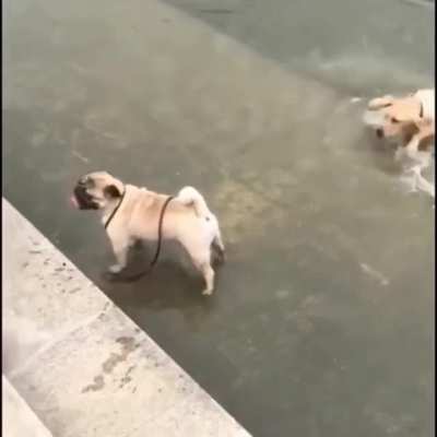 When you think you’re in the kid’s pool only to be deceived
