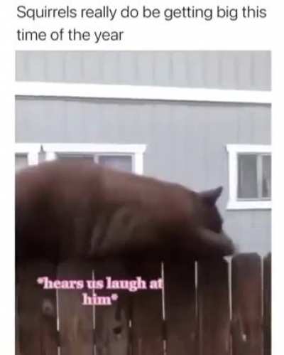 That's a big boy