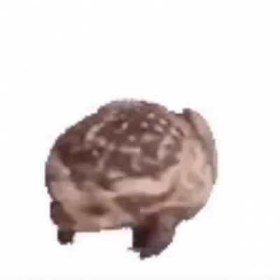 You can use this as wells
