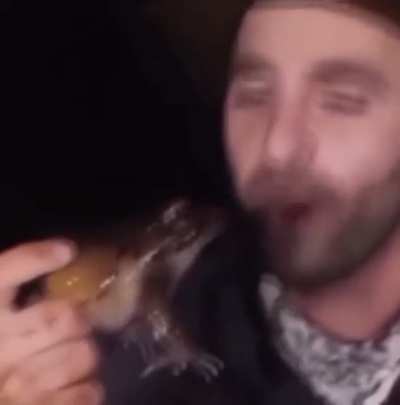This is part of the reason i love frogs