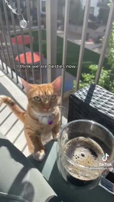 🥺❤️❤️