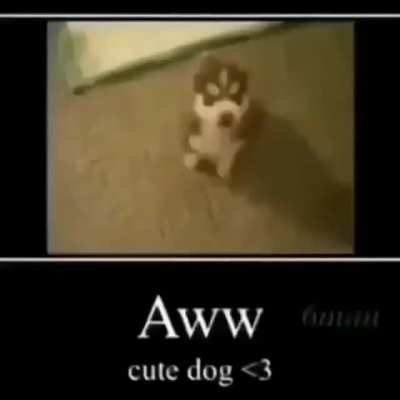 Awww