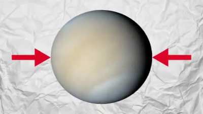 Venus almost as hot as gay spider