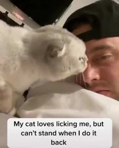 MEOW!!