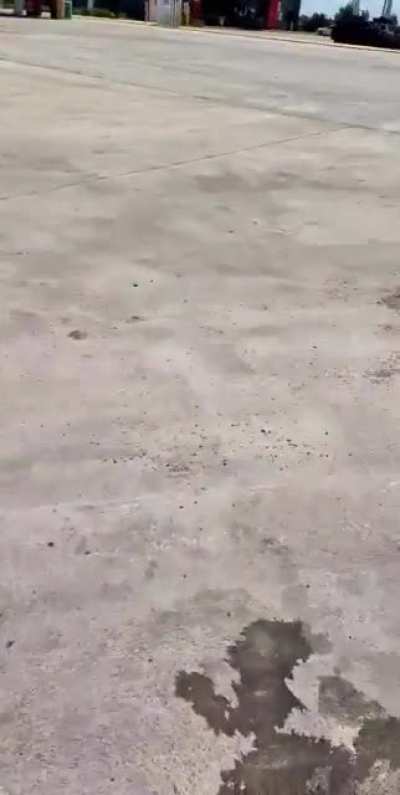 One idiot in a truck