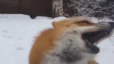 <3