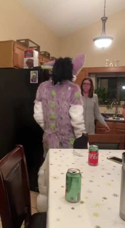 Furry_irl