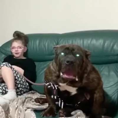 Orion, The hellhound
