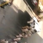 Mumbai Police needing to conduct flag march in gear to enforce lockdown in Byculla.