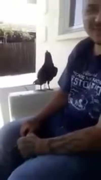 Raven says f*ck you