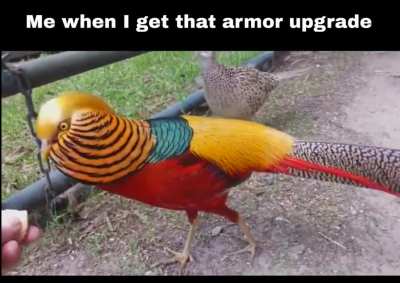 me_irl