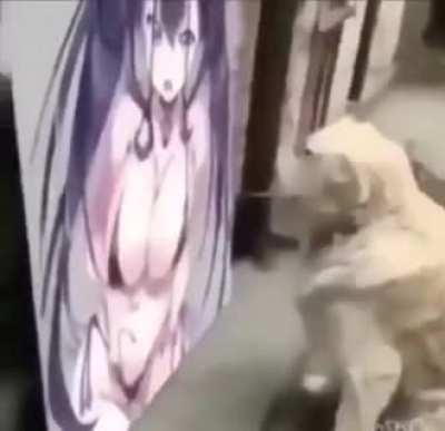 AMOGUS