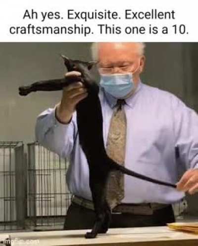 Rule