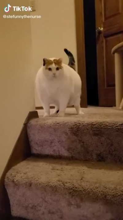 Thicc boi