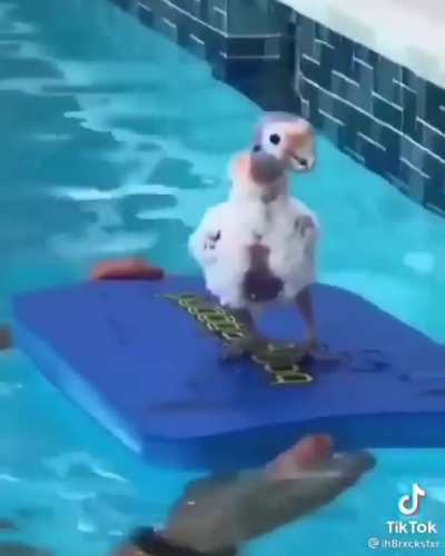 Don't rush me