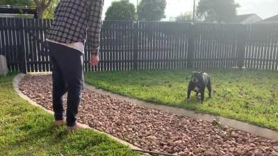 To catch the ball.