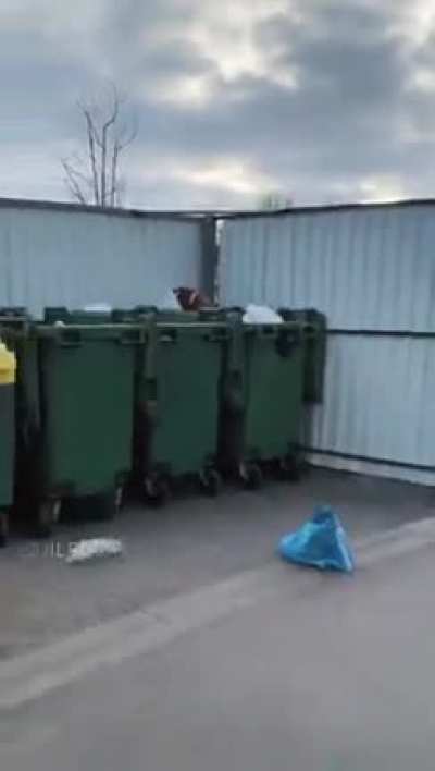 Dispose of garbage