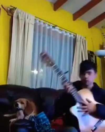 Jaja