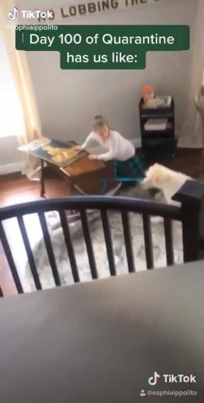 The pup just wanted to go