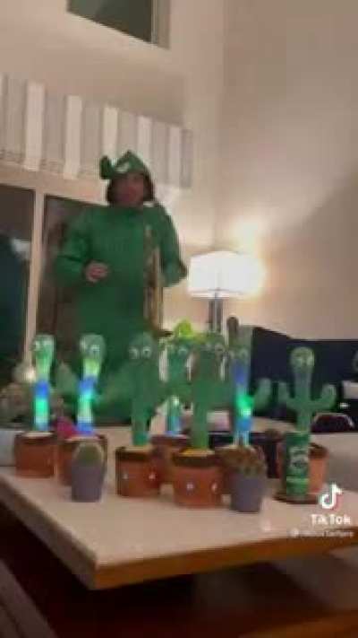 Dancing, giggling cacti 🌵