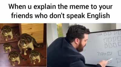 If you don't speak English, please learn it.