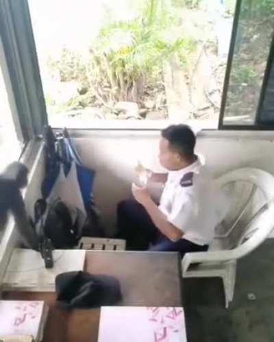 security guard robbed in broad daylight