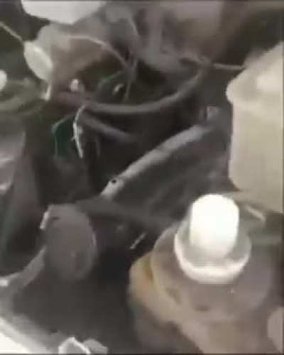Definitely didn't expect that...