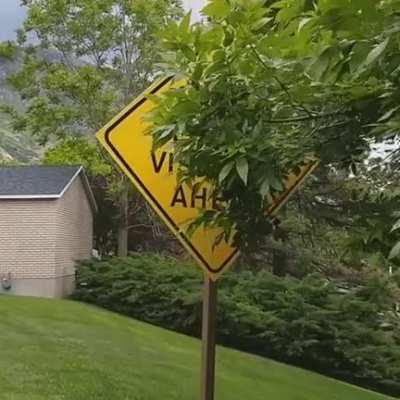 Caution