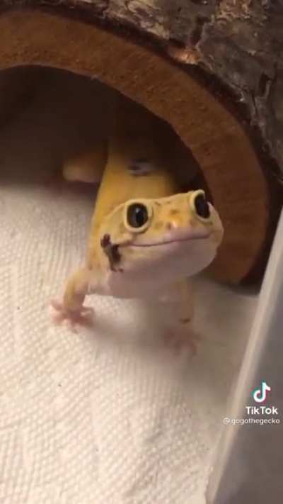 Not my video but felt like this community would appreciate it