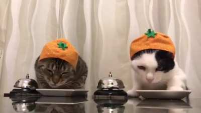 That hats killing me