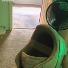 Taped shoe prank