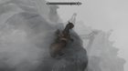 Wasn't looking where I was going but glad that horse is invincible