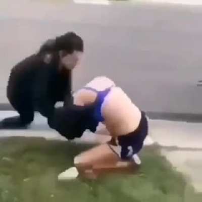 Xd
