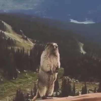 AAAAAAAAAAAAAA!!!