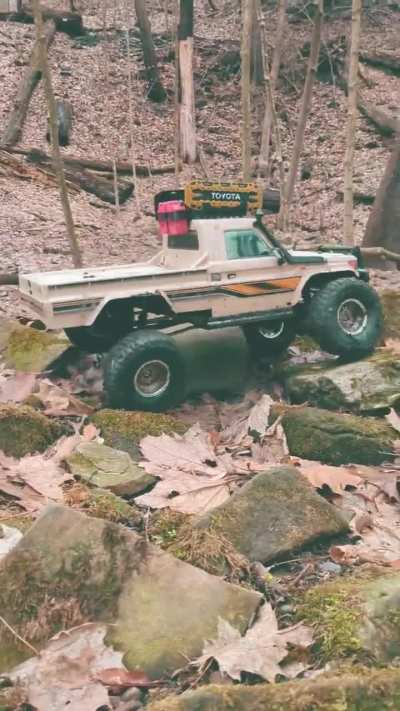 Happy flex Friday