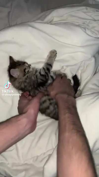 Fofo