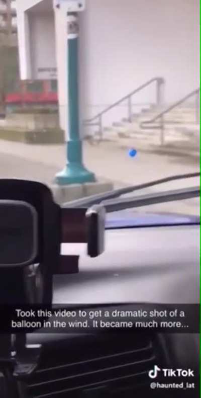 Why would you do this??