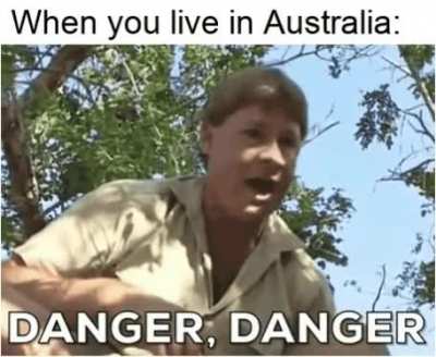 Crikey!