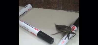He really was going to town on that marker