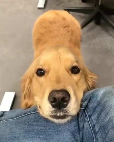 Don’t boop, just film