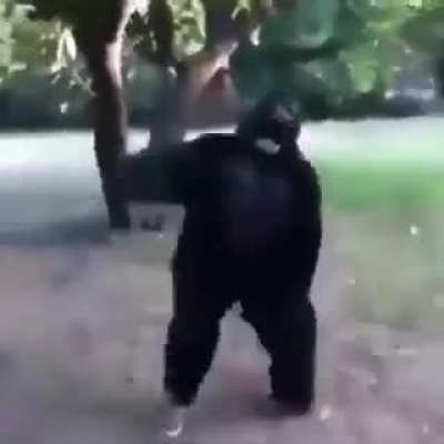 Hmmm..