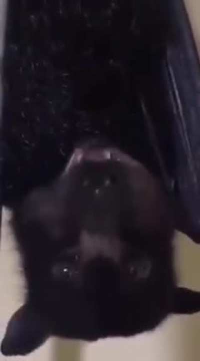 Criação de batman!