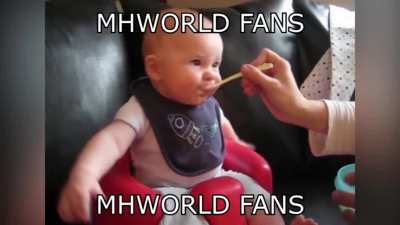 Monster hunter fans