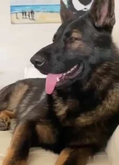 Retired police officer