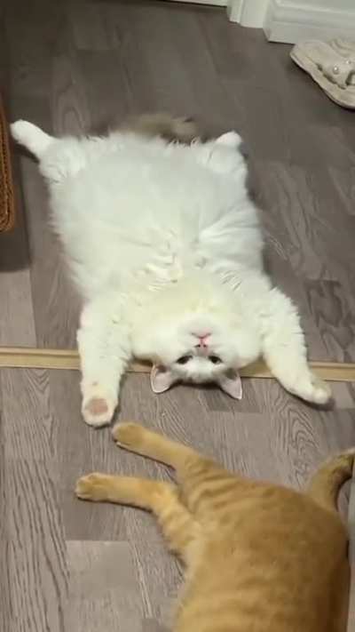 it looks like one of those pillows that you can fold into a plushie