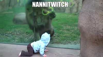 è twitch