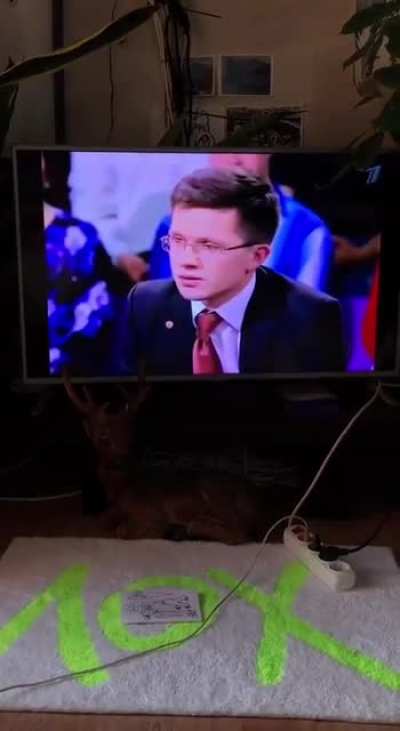 Муж чертов игроман