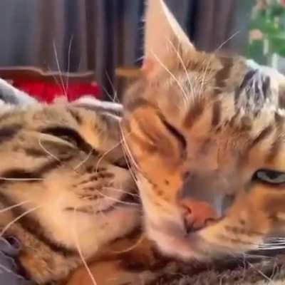 they're so in love <3