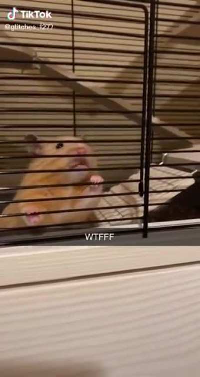 Let me out. LET ME OUTTTTT