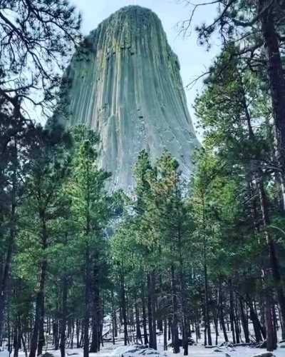 🔥 Devil’s Tower, Wyoming, so damn impressive